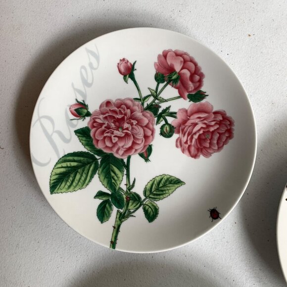 Pier 1 Imports Floral Salad Luncheon Plates - Picture 4 of 7